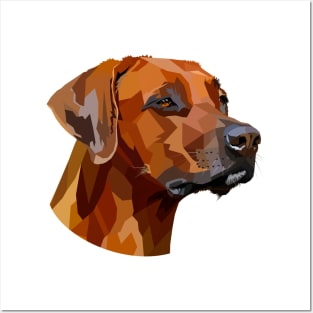 Rhodesian Ridgeback Posters and Art